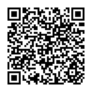 QR Code for Interaction of Energy and Food Prices in Less Developed Countries