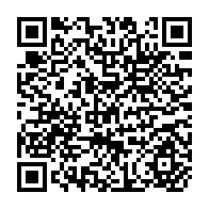 QR Code for Dynamics of Price and Subsidies in Fertilisers : Indian Experience