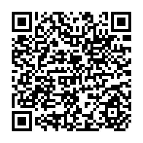 QR Code for FAO Commodity Review and Outlook
