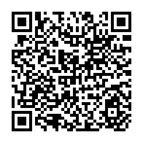 QR Code for FAO Commodity Review and Outlook