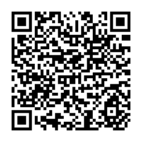 QR Code for FAO Commodity Review and Outlook