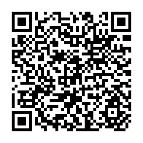 QR Code for Administering Food Producer Prices in Africa: Lessons from International Experience