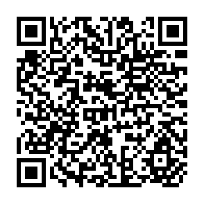 QR Code for Systems of Rice Support and Procument of Major Agricultural Commodities in Selected Asian Countries- Paddy and Rice in Malaysia