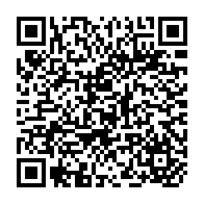 QR Code for The Presentation of self in everyday life