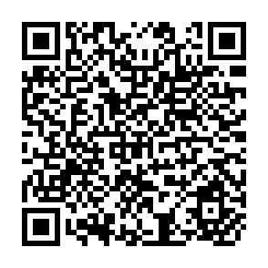 QR Code for Systems of Price Support and Procument of Major Agricultural Commodities in Selected Asian Countries- Tobaco in Philippines