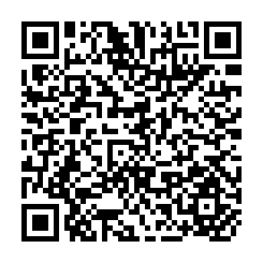 QR Code for Integrated Rural Development: Country Profile, Inventory of Programmes, Institutions and Bibliography