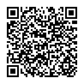 QR Code for Exploratory Data Analysis on Indebtedness in the Third World