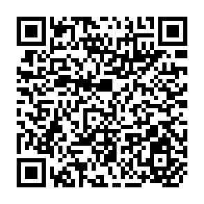 QR Code for Dynamics of VISICALC