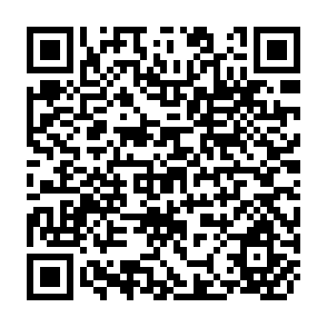 QR Code for Current Economic Problems in China