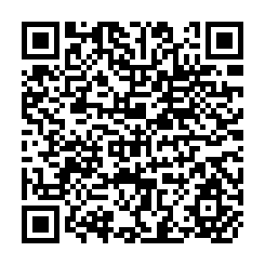 QR Code for Productivity Management at Firm Level