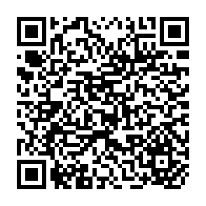 QR Code for Discussion Paper No. 8502